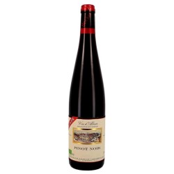 Domaine Jean Becker Pinot Noir - Vin Bio | French Red Wine