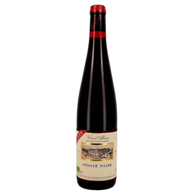 Domaine Jean Becker Pinot Noir - Vin Bio | French Red Wine