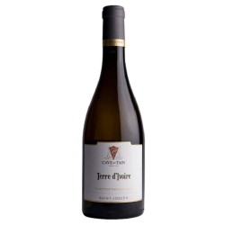Cave De Tain - Saint-Joseph Blanc Terre D'ivoire | French White Wine