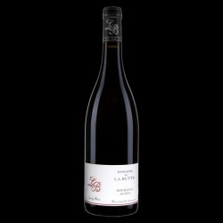 Domaine De La Butte Bourgueil Mi-Pente | French Red Wine