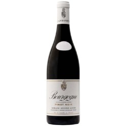 Domaine Guyon Bourgogne Pinot Noir | French Red Wine