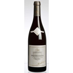 Domaine Michelot Bourgogne Cote D'or Pinot Noir | French Red Wine