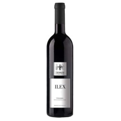 Domaine Terres D'hachene Ilex | French Red Wine