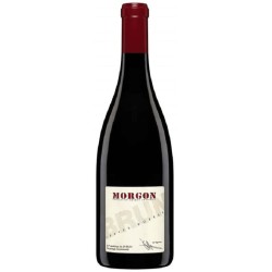 Domaine Jean-Paul Brun Morgon | French Red Wine
