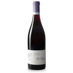 Domaine Agnes Paquet Pommard Les Combes | French Red Wine