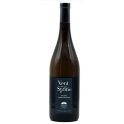 Domaine Ogereau Anjou Blanc Vent De Spilite | French White Wine