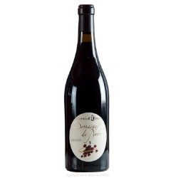 Domaine De Noire Chinon Caractere | French Red Wine