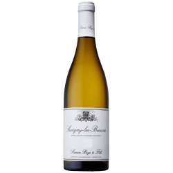 Domaine Simon Bize Et Fils Savigny-Les-Beaune | French White Wine