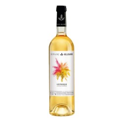 Domaine Bellegarde Jurançon Historique | French White Wine