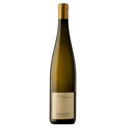 Domaine Trapet Pinot Gris Sonnenglanz Grand Cru | French White Wine