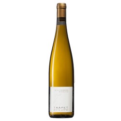 Domaine Trapet Riesling Schlossberg Grand Cru | French White Wine