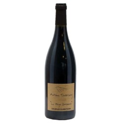 Discover the Essence of Domaine Antoine Sanzay Saumur-Champigny La Haye Dampierre - Vin Bio