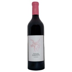 Domaine Gavoty Côtes De Provence Storia | French Red Wine