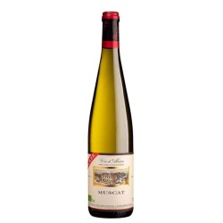 Domaine Jean Becker Muscat - Vin Bio | French White Wine
