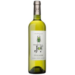 Domaine De Joy Naturellement Joy | French White Wine