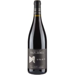Chateau De Valflaunes Pic Saint-Loup Un Peu De Toi | French Red Wine