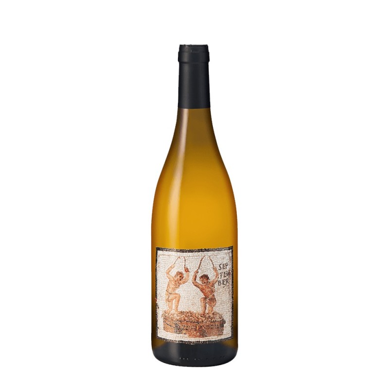 Domaine De L'ecu Janus | French White Wine