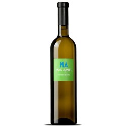 Domaine Mas Amiel Maury Vintage Blanc | French White Wine