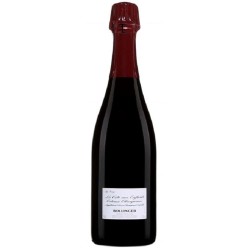 Champagne Bollinger La Côte Aux Enfants Côteaux Champenois Rouge | ...
