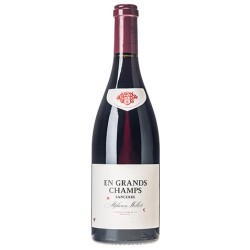 Alphone Mellot Sancerre En Grand Champs | French Red Wine