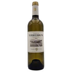 Domaine De Terrebrune Bandol 2024 Blanc Bio 75cl Crd | Vin Rose