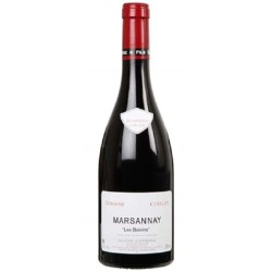 Domaine Coillot - Marsannay Rouge Les Boivins | French Red Wine