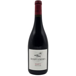Vignoble Dampt Freres Irancy | French Red Wine