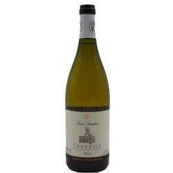 Domaine Pierre Amadieu Condrieu | French White Wine