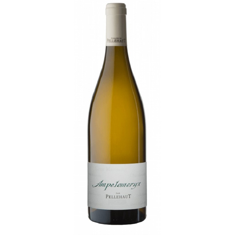 Domaine De Pellehaut Ampelomeryx Blanc | French White Wine