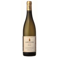 Cave Yves Cuilleron - Saint-Joseph Blanc Lieu-Dit Digue | French Wh...