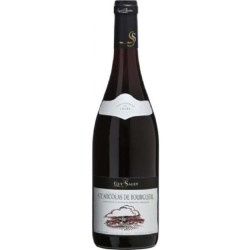Guy Saget Saint-Nicolas De Bourgueil | French Red Wine