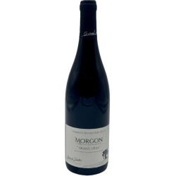 Domaine Laurent Gauthier Morgon Grand Cras | French Red Wine