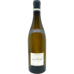 Domaine Pascal Jolivet - Sancerre Blanc Les Caillottes | French Whi...