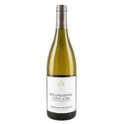 Domaine Michelot Bourgogne Cote D'or | French White Wine