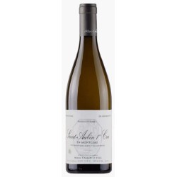 Domaine Marc Colin Et Fils Saint-Aubin 1er Cru En Montceau | French...