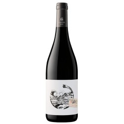 Domaine Gayda - Syrah | French Red Wine
