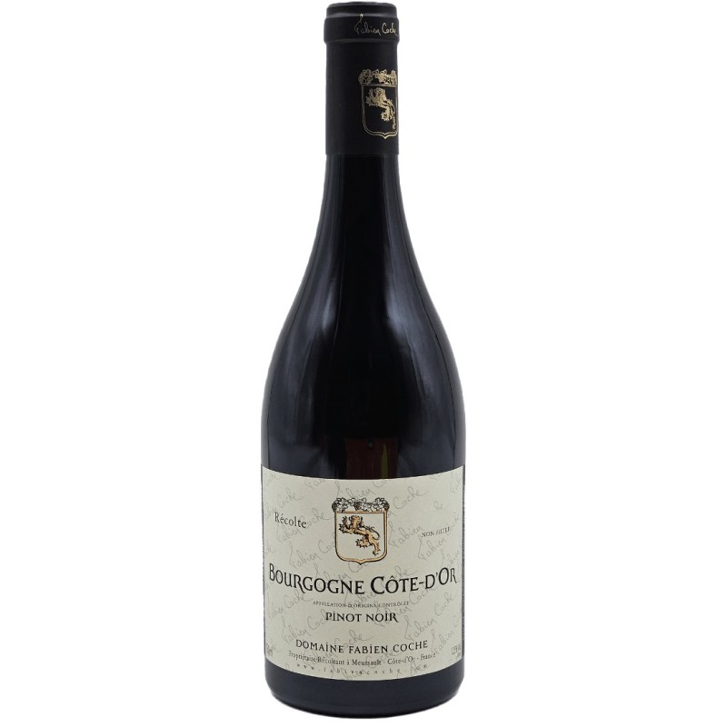 Domaine Fabien Coche Bourgogne Cote D'or Pinot Noir | French Red Wine