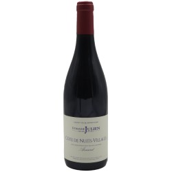 Domaine Julien-Cotes De Nuits Villages Armand 2022 - Red Wine 75cl