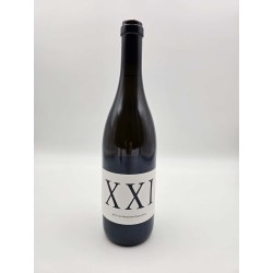 Didier Dagueneau Xxi 2021 - White Wine 75cl