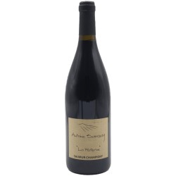 Domaine Antoine Sanzay Saumur-Champigny La Paterne - Vin Bio - Wine 75cl