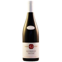 Domaine Philippe Gavignet Bourgogne Pinot Noir - Wine 75cl