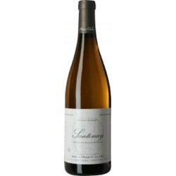 Domaine Marc Colin Et Fils Santenay 2022 - White Wine 75cl