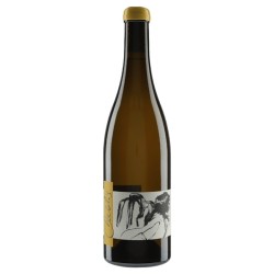 Domaine Pattes Loup - Thomas Pico Chablis Vent D'ange Mise Tardive 2022 - Organic White Wine 75cl