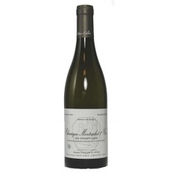 Domaine Marc Colin Chassagne-Montrachet 1er Cru Les Champs Gains 2022 - White Wine 75cl
