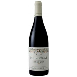 Bouzereau Michel Et Fils Bourgogne Pinot Noir 2022 - Red Wine 75cl