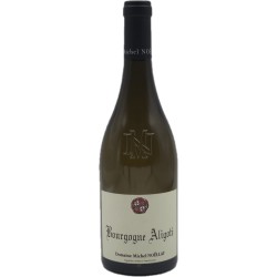 Domaine Michel Noellat Bourgogne Aligoté 2022 - White Wine 75cl