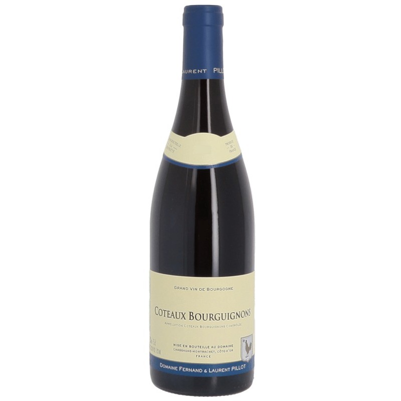 Domaine Pillot Coteaux Bourguignons 2022 - Red Wine 75cl