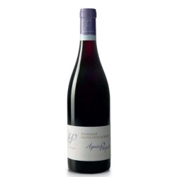 Domaine Agnes Paquet Bourgogne Hautes Côtes De Beaune Rouge 2021 - Red Wine 75cl