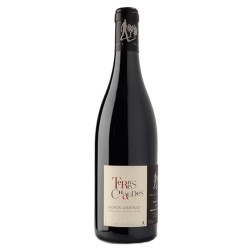 Domaine Des Roches Neuves - Saumur Champigny Rouge Terres Chaudes 2020 - Red Wine 75cl