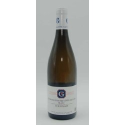 Domaine Philippe Gavignet Haute Cotes De Nuit Blanc La Montagne 2023 - White Wine 75cl
